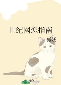 《世纪网恋指南》