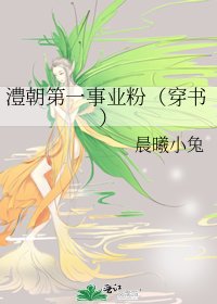 澧朝第一事业粉（穿书）