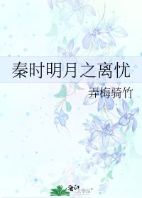 秦时明月之离忧