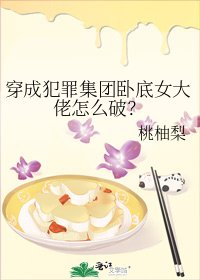 《穿成犯罪集团卧底女大佬怎么破?》
