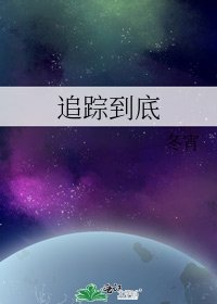 《追踪到底》