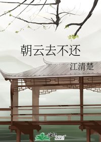 《朝云去不还》