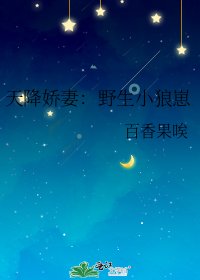 《天降娇妻:野生小狼崽》