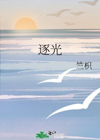 逐光