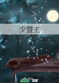 《少盟主》