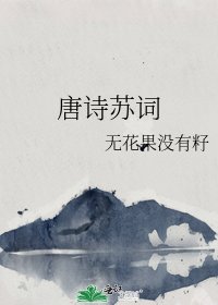 《唐诗苏词》