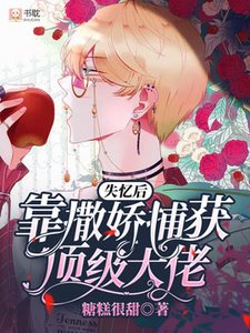 《失忆后靠撒娇捕获顶级大佬》