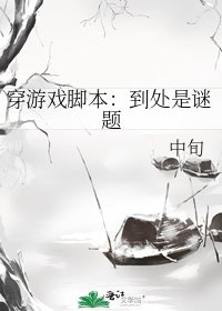 《穿游戏脚本:到处是谜题》