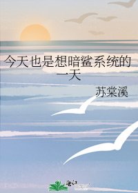 《今天也是想暗鲨系统的一天》