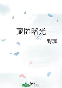 《藏匿曙光》