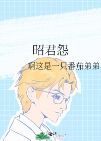 昭君怨