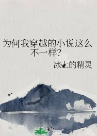 《为何我穿越的这么不一样?》