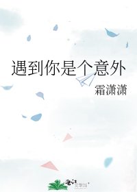 《遇到你是个意外》