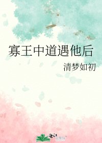 《寡王中道遇他后》