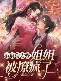 小狼狗太野,姐姐被撩疯了
