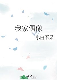 我家偶像