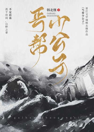 《丐帮少公子》