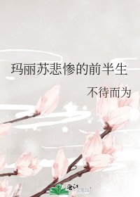 《玛丽苏悲惨的前半生》