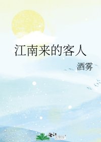 《江南来的客人》