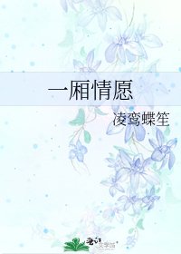《一厢情愿》
