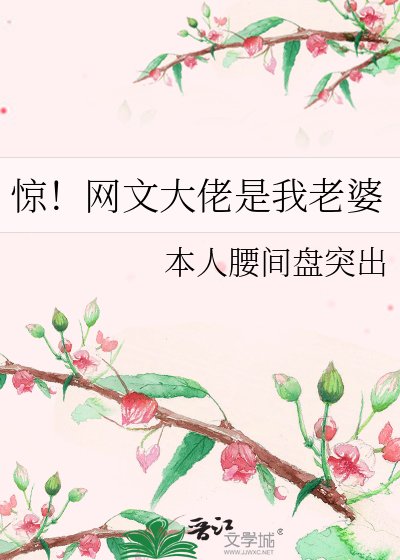 惊！网文大佬是我老婆