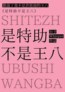 《是特助不是王八》