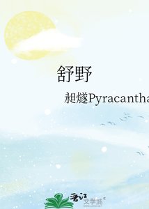 《舒野》