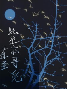 《直至此生亦寻觅》