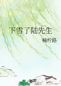《下雪了陆先生》