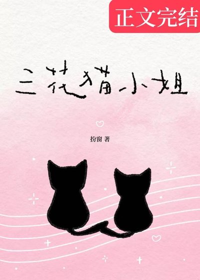 三花猫小 姐