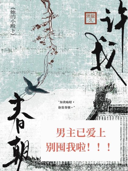 《许我春朝》