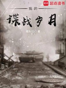 《我的谍战岁月》