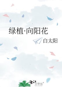 《绿植·向阳花》