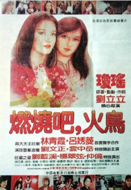 《燃烧吧!火鸟(出版书)》