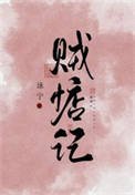 《贼惦记》