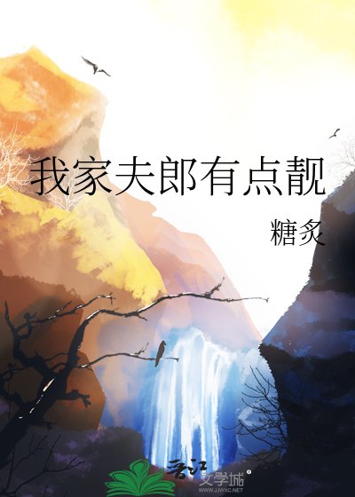 《我家夫郎有点靓》