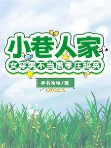 （影视同人）小巷人家：女穿男不当愚孝庄超英