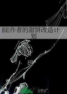 《BE作者的甜饼改造计划》