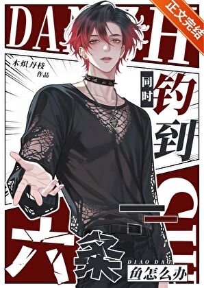 《同时钓到六条鱼怎么办》