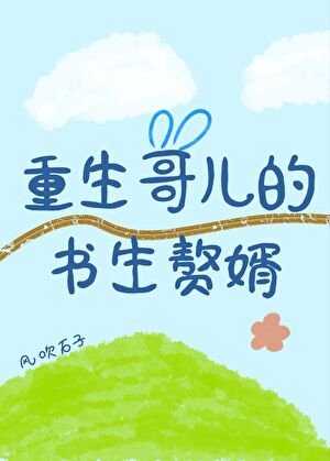 《重生哥儿的书生赘婿》