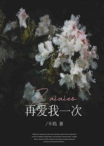 《再爱我一次》