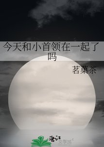 《(综漫同人)今天和小首领在一起了吗》