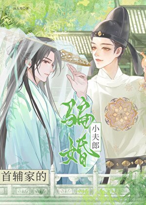 《首辅家的骗婚小夫郎》