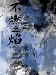《(综影视同人)不燃之焰》