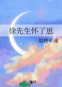 《徐先生怀了崽》