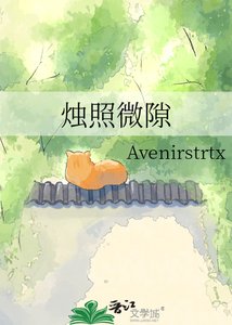 《烛照微隙》