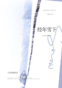 《经年雪下》