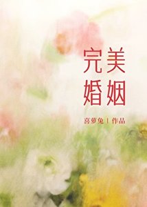 《完美婚姻》