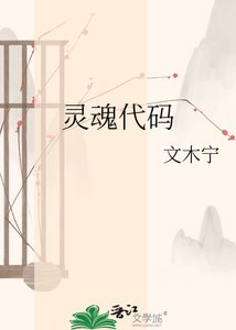 《灵魂代码》