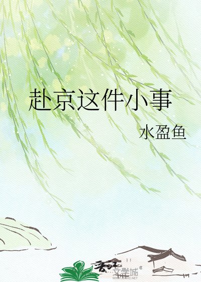 《赴京这件小事》
